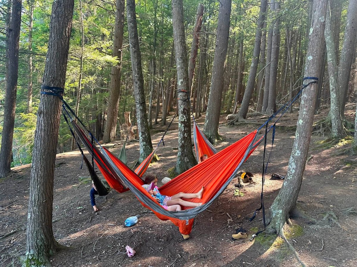 Campers relaxing in hammocks among the pines