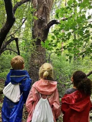 Forest Preschool