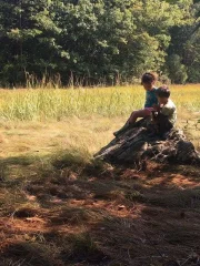 Forest Preschool